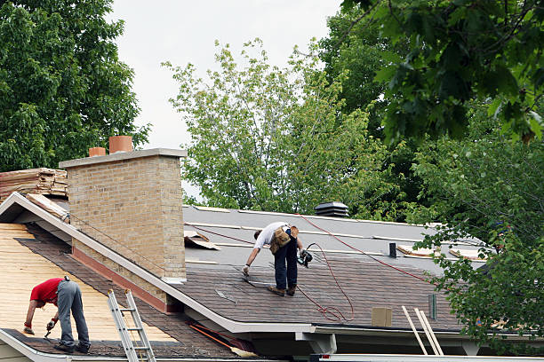 Best Roof Gutter Cleaning  in Canastota, NY